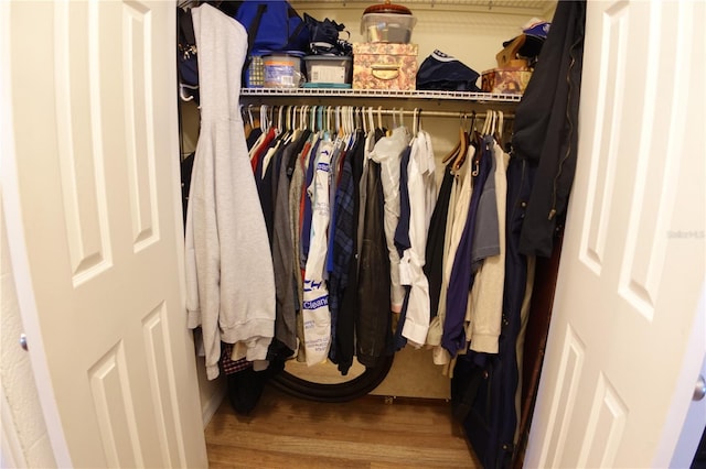 view of closet