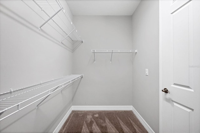 spacious closet with carpet