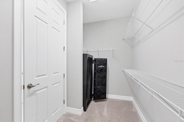 spacious closet featuring wine cooler and carpet flooring