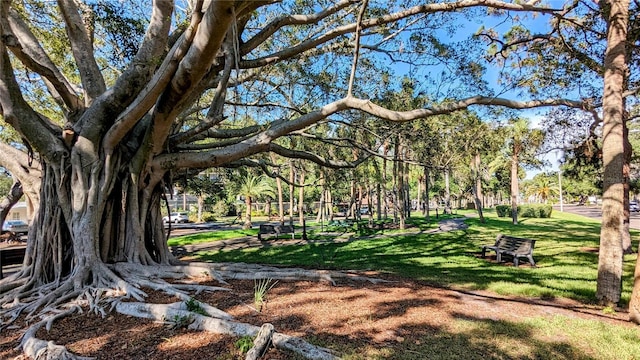 view of home's community with a lawn