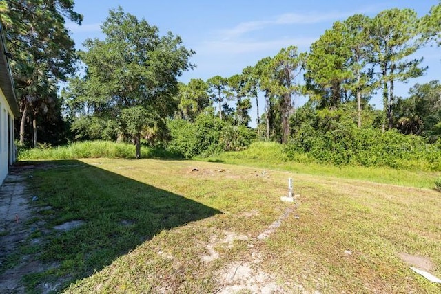 view of yard