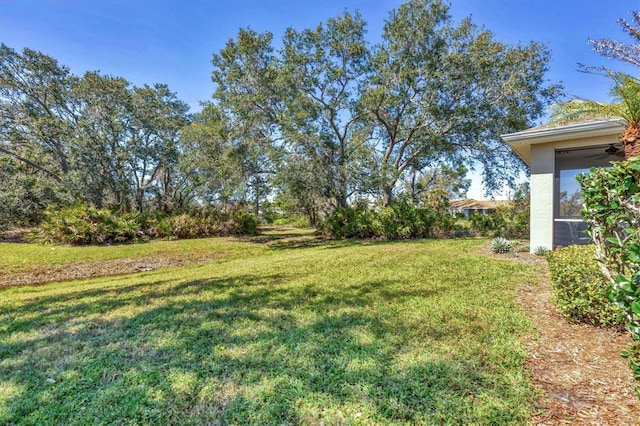 9312 Coachman Dr, Venice, FL 34293 - view of yard