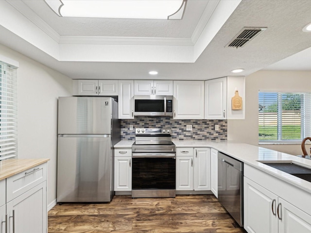 kitchen featuring dark wood-style floors, visible vents, stainless steel appliances, and a raised ceiling