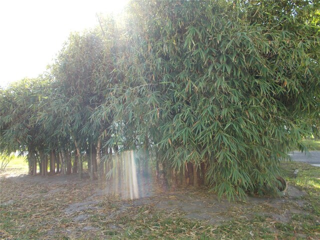 view of nature