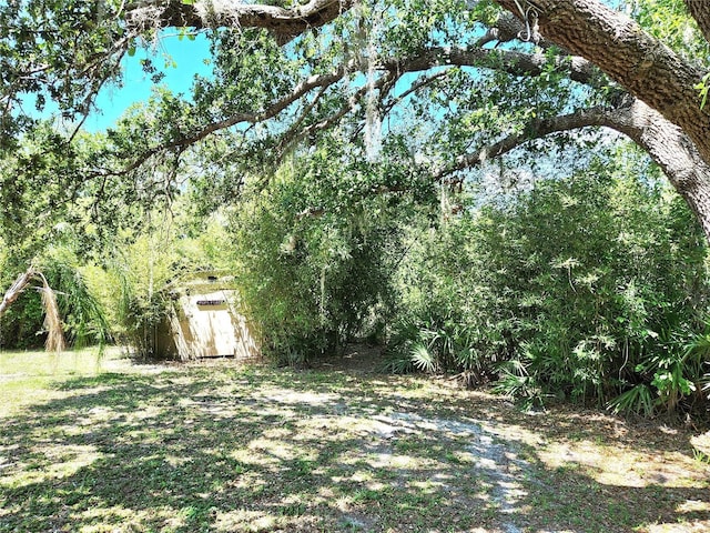 view of yard featuring a storage shed and an outbuilding