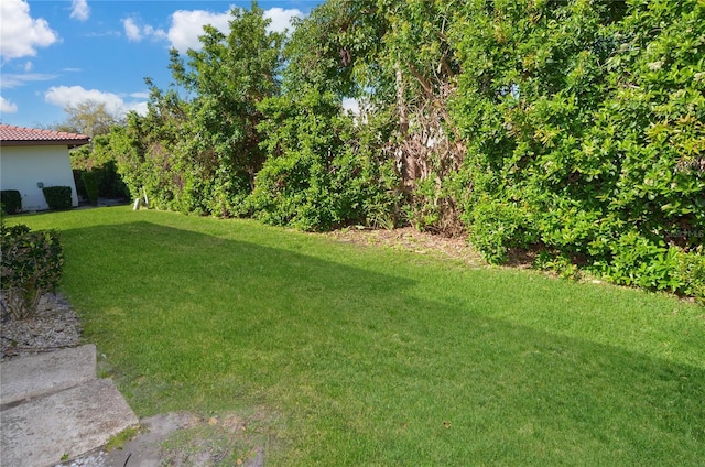 view of yard