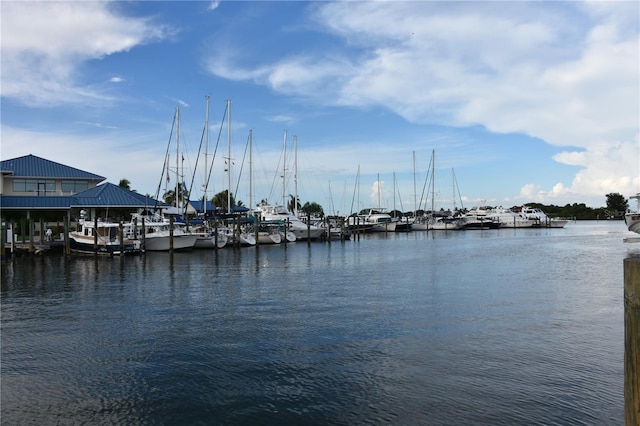dock area with a water view