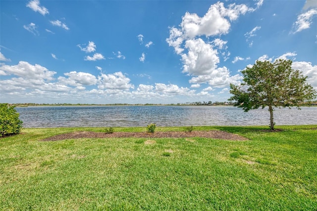 24128 Spartina Dr, Venice, FL 34293 - photo 52