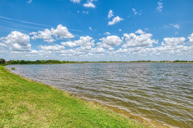 24128 Spartina Dr, Venice, FL 34293 - photo 53
