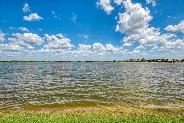 24128 Spartina Dr, Venice, FL 34293 - photo 54