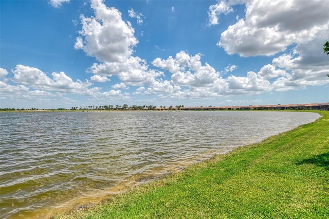 24128 Spartina Dr, Venice, FL 34293 - photo 55