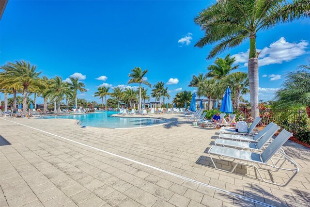 24128 Spartina Dr, Venice, FL 34293 - photo 65