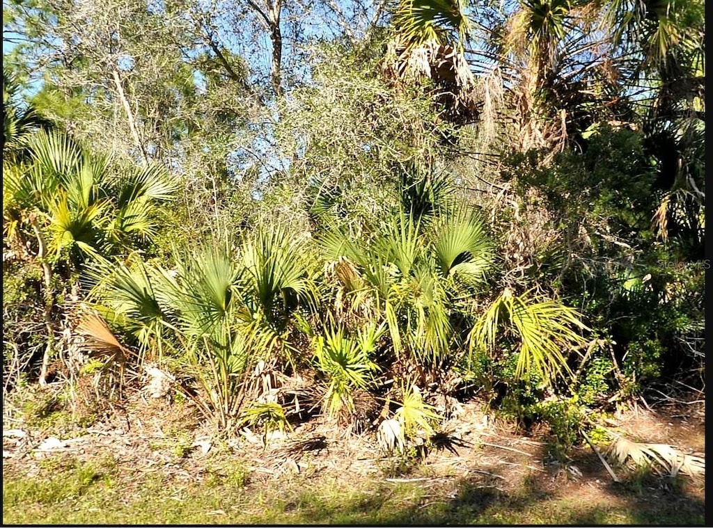 Wild Goose Dr, North Port, FL 34291 - photo 1