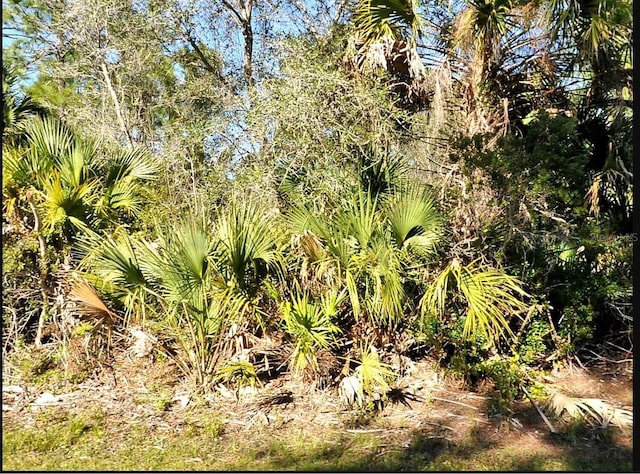 Wild Goose Dr, North Port, FL 34291 - photo 1