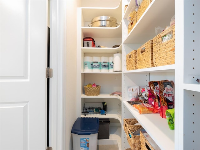 4907 Wedgeleaf Way, Palmetto, FL 34221 - view of storage area