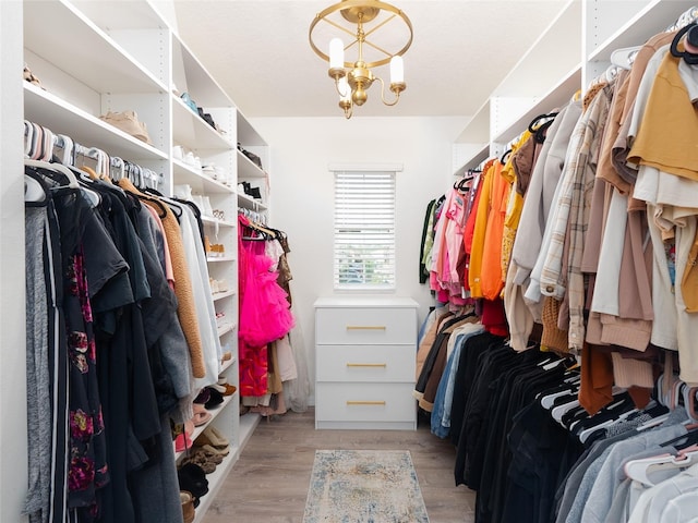 4907 Wedgeleaf Way, Palmetto, FL 34221 - spacious closet with an inviting chandelier and light wood-type flooring