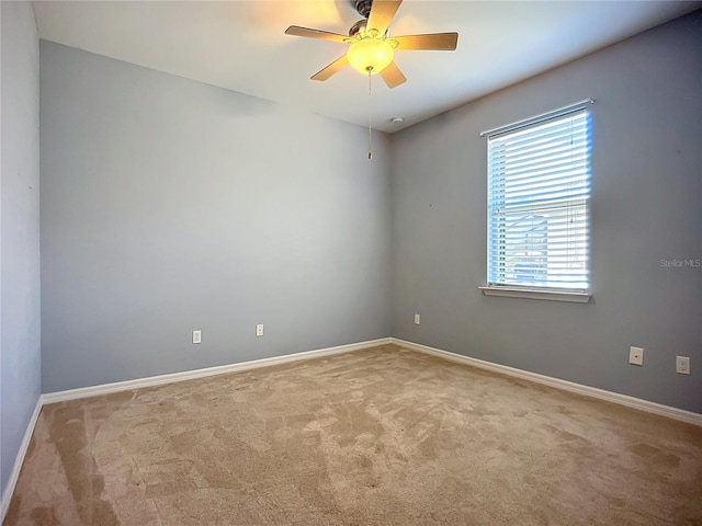 5384 Layton Dr, Venice, FL 34293 - photo 21