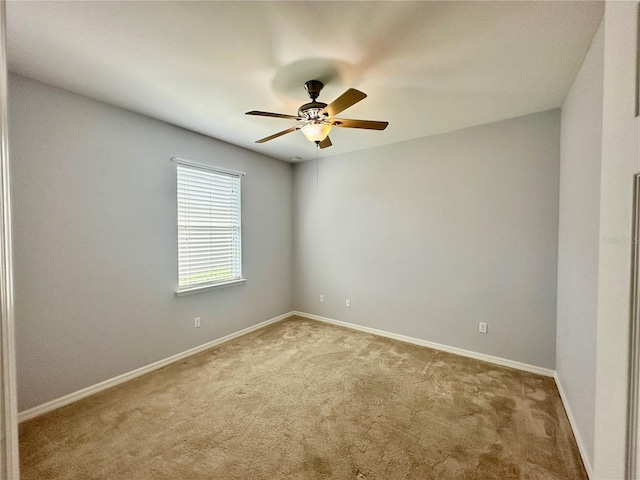 5384 Layton Dr, Venice, FL 34293 - photo 24