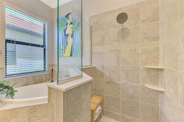 24193 Gallberry Dr, Venice, FL 34293 - full bath featuring a bath and walk in shower