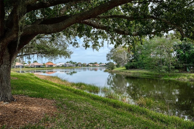 water view