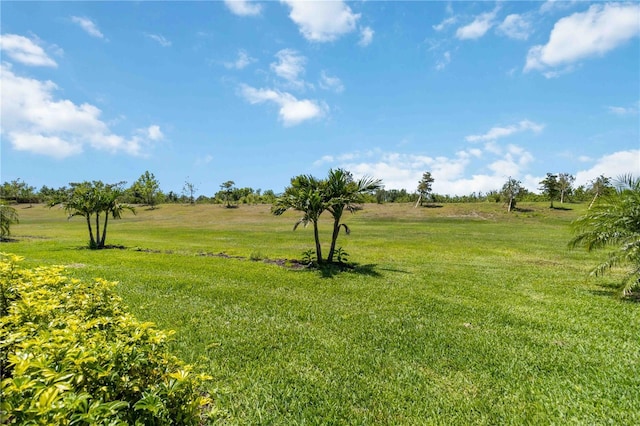24153 Spartina Dr, Venice, FL 34293 - view of yard featuring a rural view
