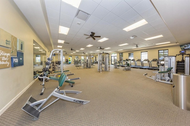 24153 Spartina Dr, Venice, FL 34293 - workout area featuring carpet floors, baseboards, a ceiling fan, and a drop ceiling