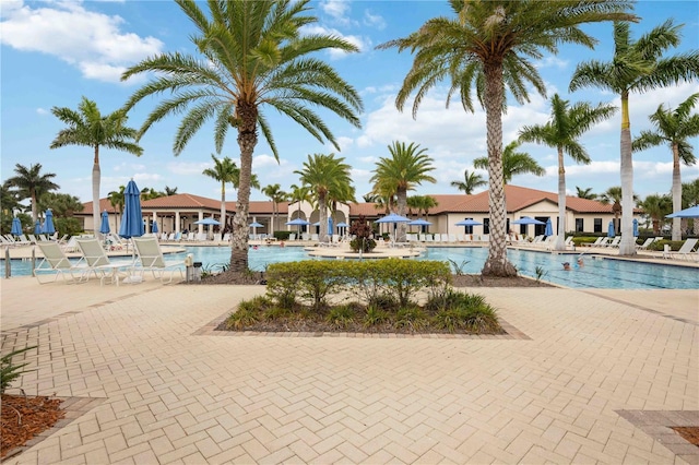 24153 Spartina Dr, Venice, FL 34293 - community pool featuring a patio