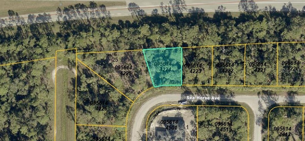 Sea Horse Ave, North Port, FL 34286 - photo 1