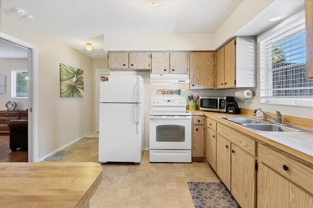 140 Avenida De La Isla, Nokomis, FL 34275 - photo 12