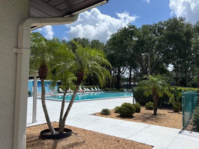810 Anchorage Ln, Palm Harbor, FL 34685 - community pool with a patio