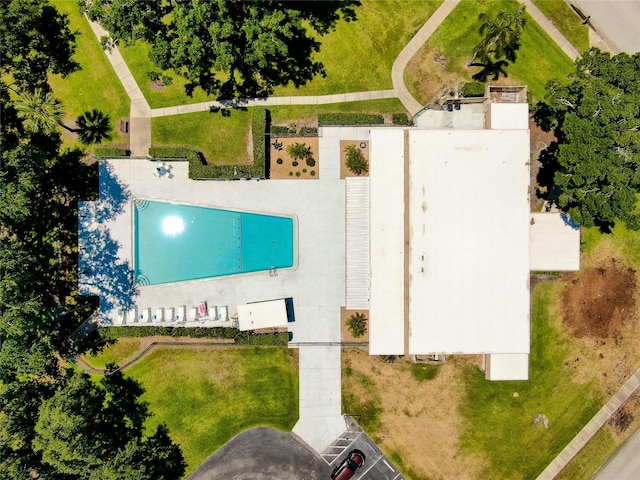 810 Anchorage Ln, Palm Harbor, FL 34685 - drone / aerial view of a pool