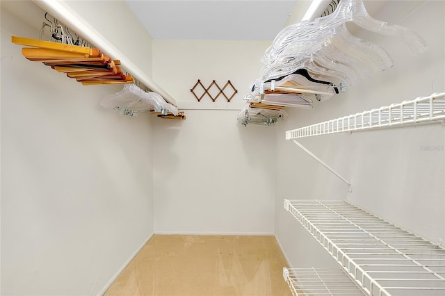 810 Anchorage Ln, Palm Harbor, FL 34685 - spacious closet featuring light carpet