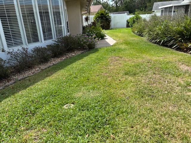 810 Anchorage Ln, Palm Harbor, FL 34685 - view of yard