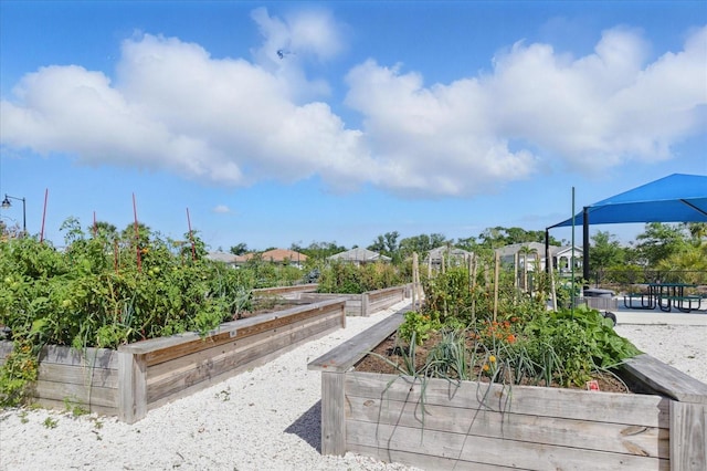 surrounding community featuring a garden