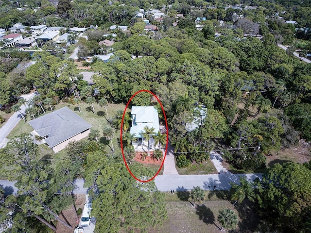 bird's eye view