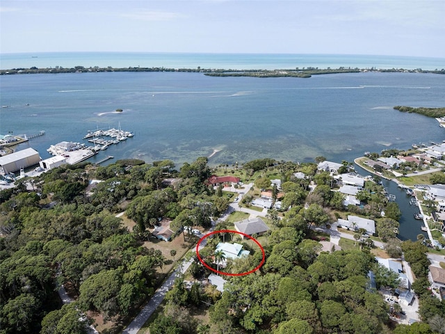 bird's eye view featuring a water view