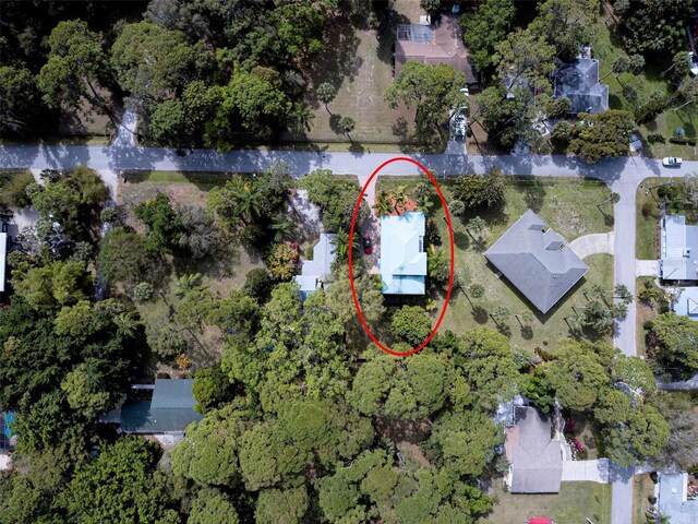 bird's eye view