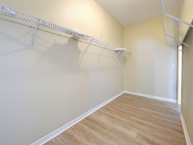 walk in closet featuring light wood-style flooring