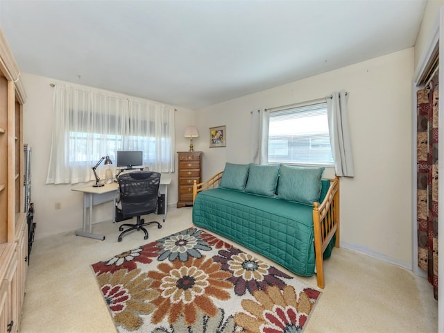 444 Driftwood Rd, Venice, FL 34293 - photo 10