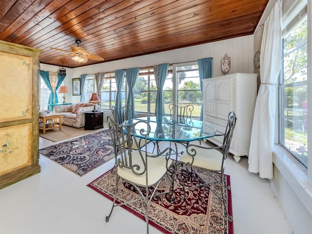 444 Driftwood Rd, Venice, FL 34293 - photo 17