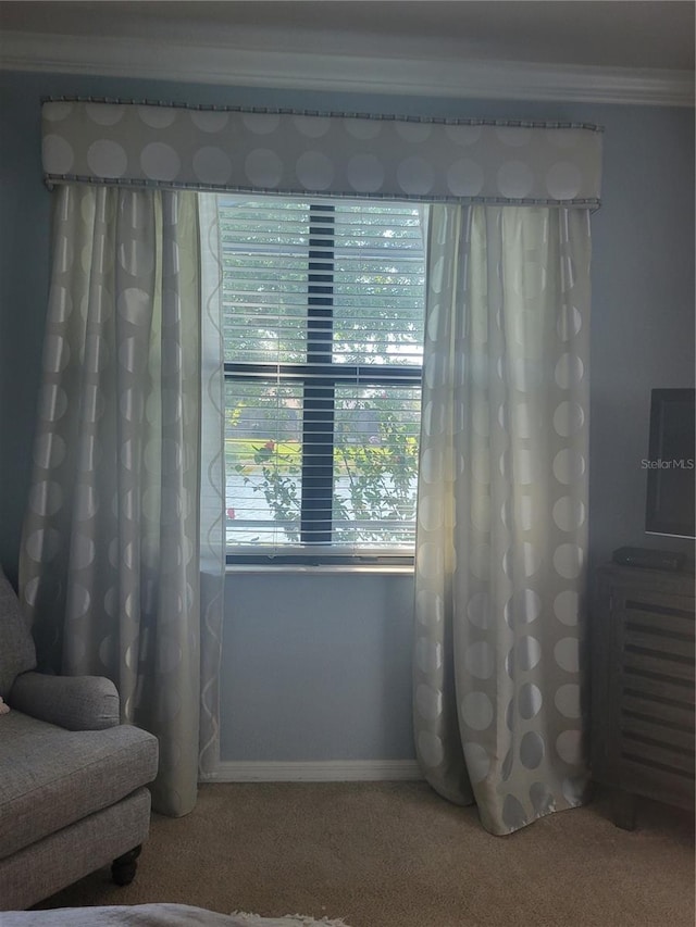 20188 Tesoro Dr, Venice, FL 34293 - living area with carpet flooring and crown molding