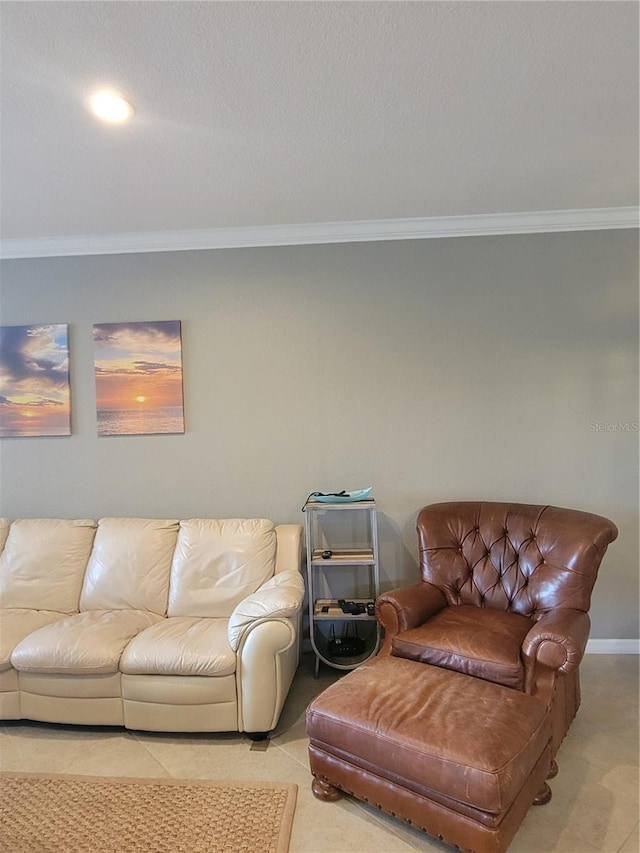 20188 Tesoro Dr, Venice, FL 34293 - living room featuring ornamental molding