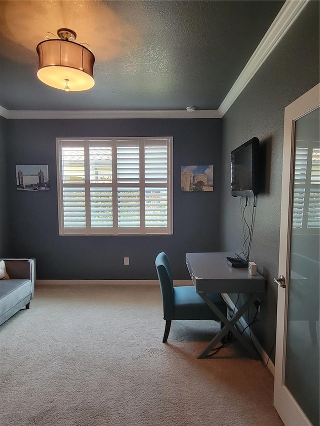 20188 Tesoro Dr, Venice, FL 34293 - carpeted office featuring crown molding and a textured ceiling