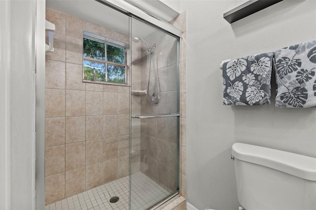1629 Siesta Dr, Sarasota, FL 34239 - bathroom with a shower stall and toilet