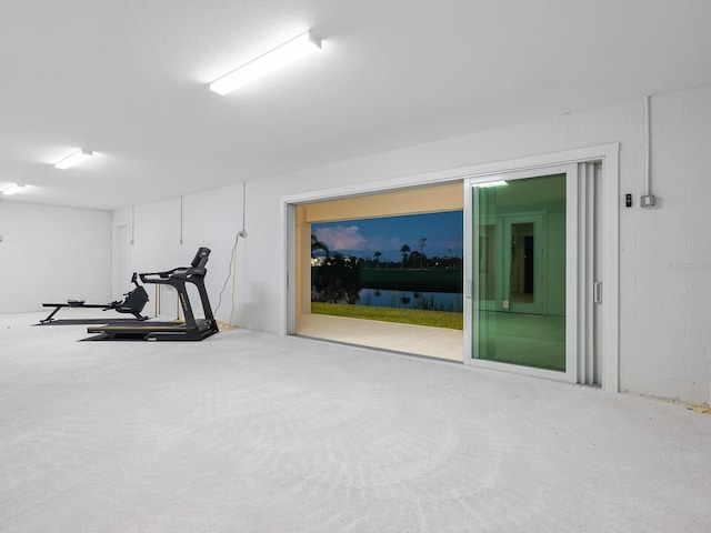 9810 Eagle Preserve Dr, Englewood, FL 34224 - exercise area featuring carpet flooring