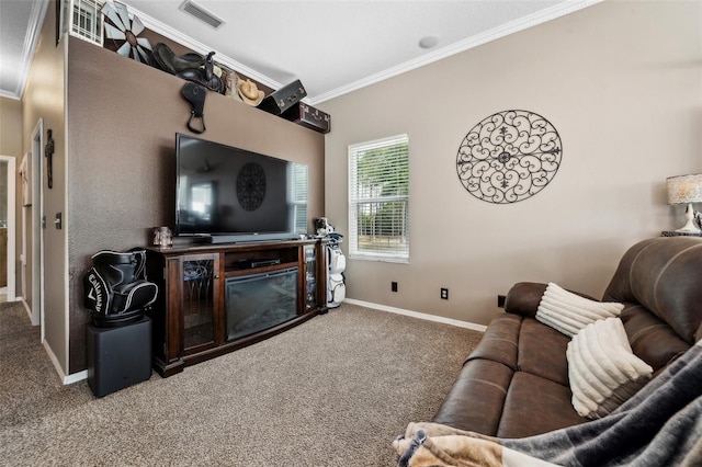 6824 283rd St E, Myakka City, FL 34251 - carpeted living room with ornamental molding, baseboards, and a fireplace