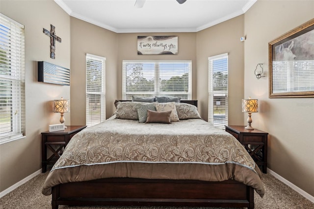 6824 283rd St E, Myakka City, FL 34251 - carpeted bedroom with baseboards, crown molding, and a ceiling fan