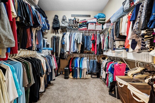 6824 283rd St E, Myakka City, FL 34251 - spacious closet with carpet flooring
