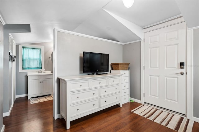 6824 283rd St E, Myakka City, FL 34251 - bedroom with vaulted ceiling, dark wood-style flooring, baseboards, and a sink