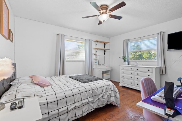 205 Cavallini Dr, Nokomis, FL 34275 - bedroom with wood finished floors, ceiling fan, and multiple windows